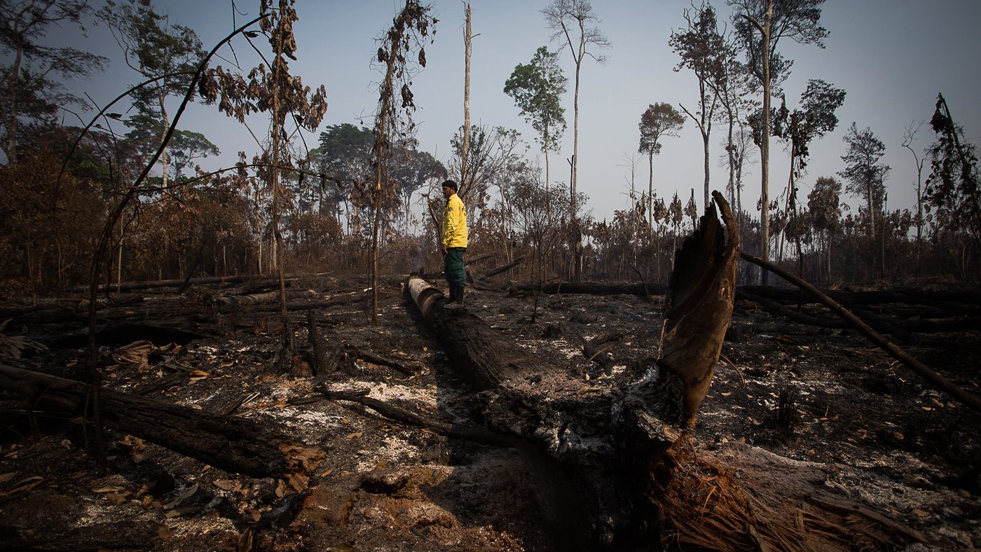 Brigadista do Prev Fogo do Ibama caminha sobre tronco queimado em área de floresta derrubada em Apuí, no Amazonas