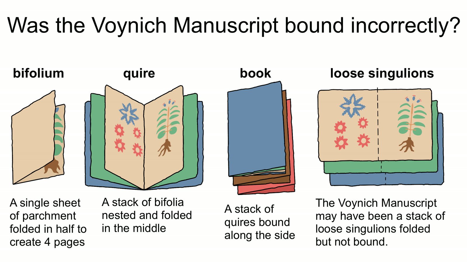 Imagem de divulgação: Manuscrito Voynich pode ter sido encadernado fora de ordem, aponta estudo que reúne pistas na escrita e nas ilustrações