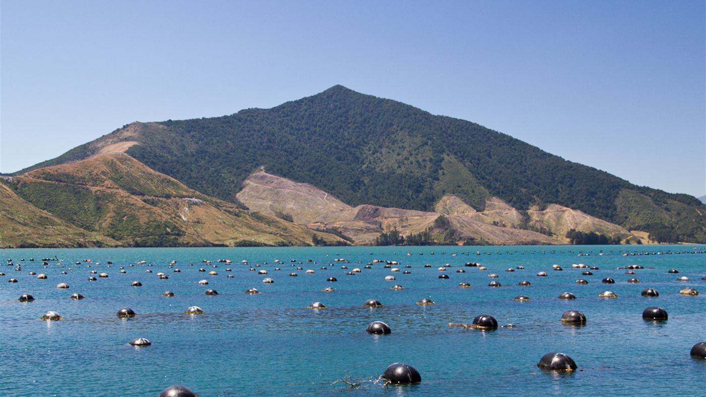 Fileiras de boias de uma fazenda de mexilhões no mar, moluscos que são os animais mais afetados pela toxina da maré vermelha.