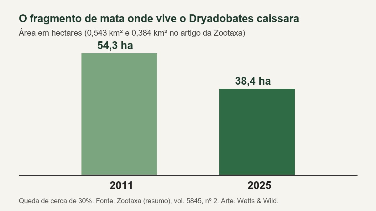 Gráfico de duas barras mostrando a mata do sapo caissara com 54,3 hectares em 2011 e 38,4 hectares em 2025