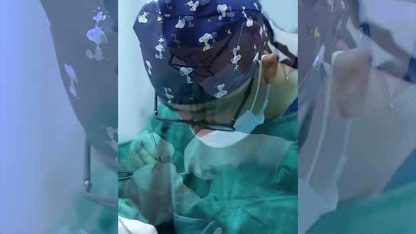 Cirurgião realiza procedimento de rinoplastia mostrado no vídeo sobre nariz de hamster