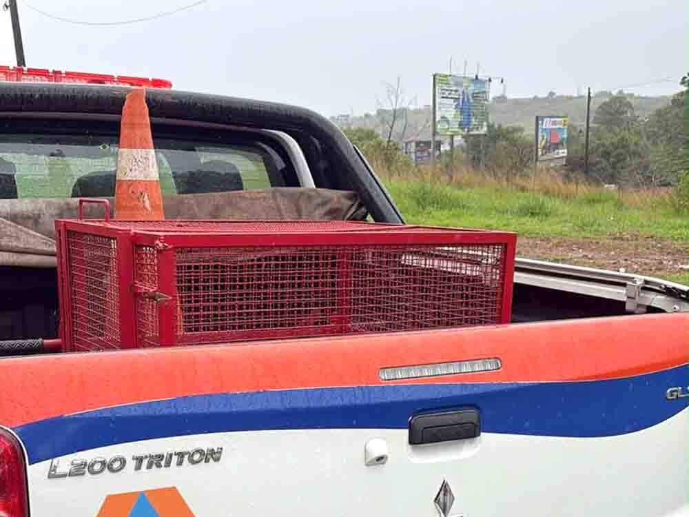Gaiola vermelha de transporte na caçamba de uma caminhonete da Defesa Civil de Itaí, usada no resgate do filhote de onça-parda