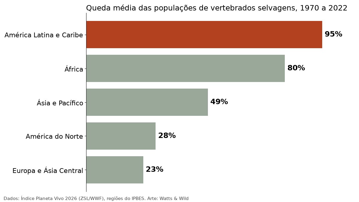 Gráfico de barras com a queda média das populações de vertebrados por região entre 1970 e 2022: América Latina e Caribe 95%, África 80%, Ásia e Pacífico 49%, América do Norte 28%, Europa e Ásia Central 23%
