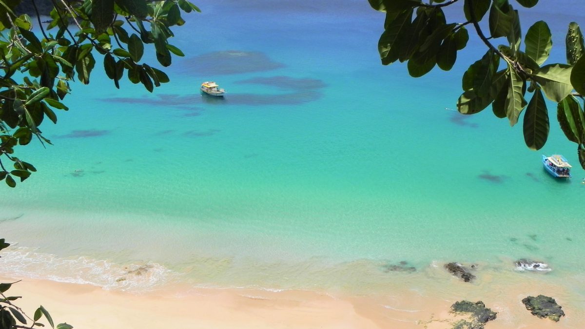 Água turquesa da Praia do Sancho, em Fernando de Noronha, com dois barcos ancorados e folhas em primeiro plano