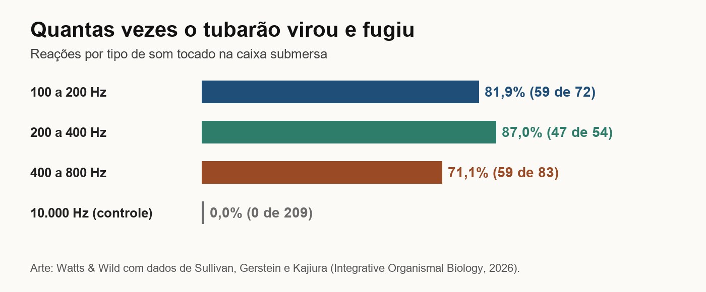 Gráfico: os tubarões viraram e fugiram em 81,9% dos testes com som de 100 a 200 Hz, 87% com 200 a 400 Hz, 71,1% com 400 a 800 Hz e em nenhum dos 209 testes com o som de controle de 10.000 Hz