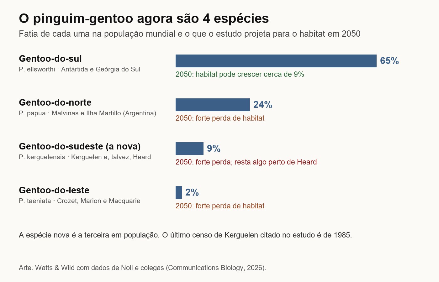 Gráfico de barras com as quatro espécies de pinguim-gentoo: gentoo-do-sul 65% da população, do norte 24%, do sudeste, a nova, 9%, e do leste 2%, com a projeção de habitat para 2050