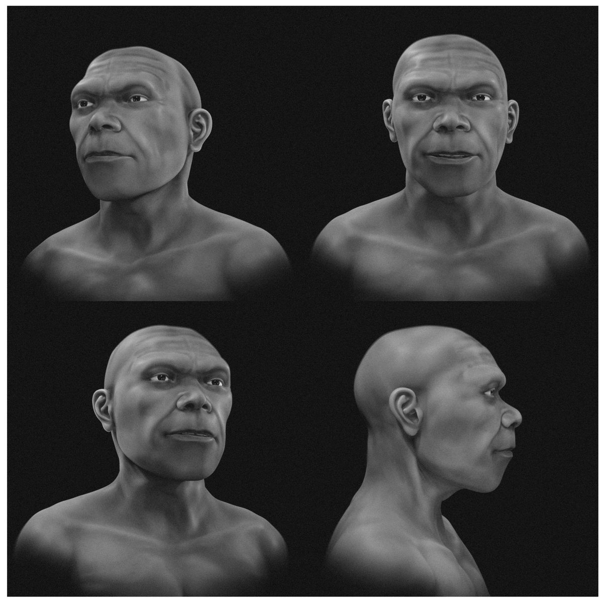 Quatro vistas do rosto reconstruído do hominínio de Jebel Irhoud em tons de cinza, sem cabelo nem barba, em fundo preto