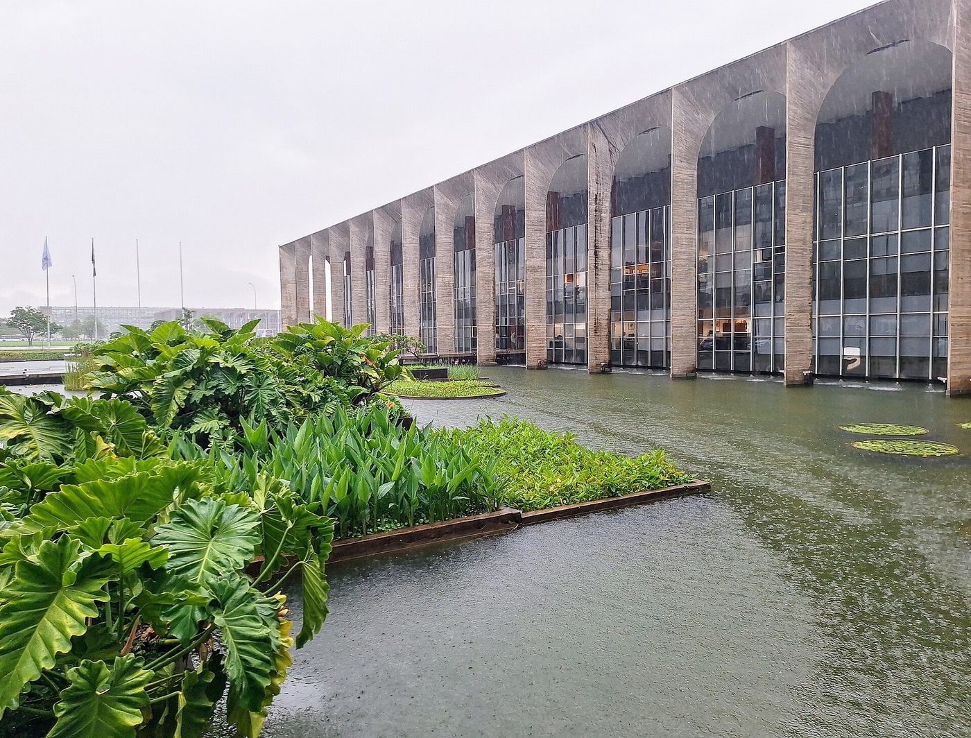 Canteiros de plantas de folhas largas e plantas de folhas flutuantes no espelho d'água lateral do Palácio do Itamaraty