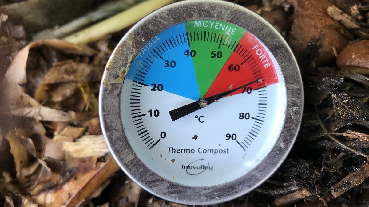 Termômetro espetado numa pilha de compostagem caseira marcando perto de 70 graus