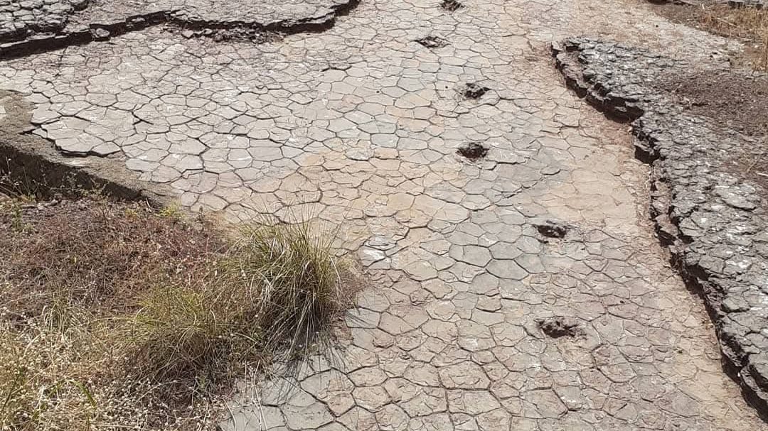 Trilha de pegadas de dinossauro em fila sobre laje de rocha com lama seca rachada em polígonos no Vale dos Dinossauros, em Sousa, na Paraíba
