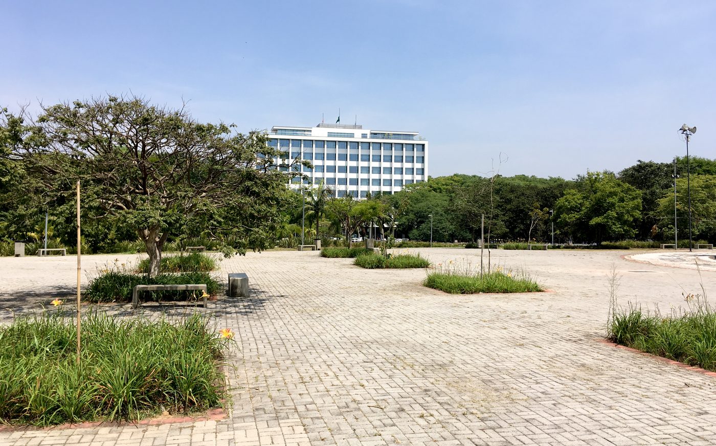 Prédio da Reitoria da USP, branco e comprido, visto do outro lado da Praça do Relógio, com piso de blocos, canteiros e árvores