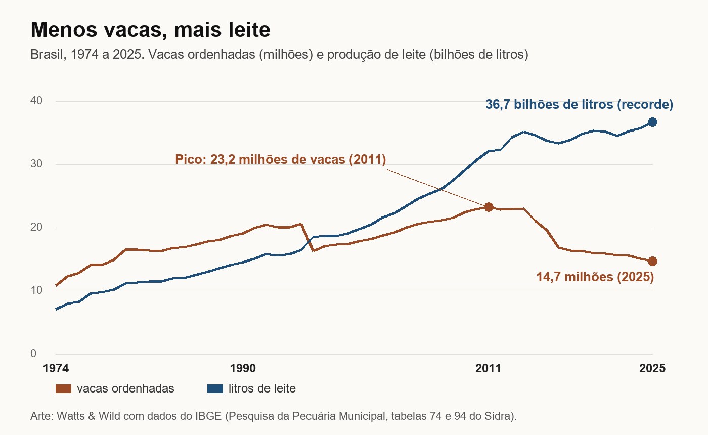 Gráfico de linhas de 1974 a 2025: as vacas ordenhadas sobem até o pico de 23,2 milhões em 2011 e caem para 14,7 milhões em 2025, enquanto a produção de leite sobe quase sem parar até o recorde de 36,7 bilhões de litros