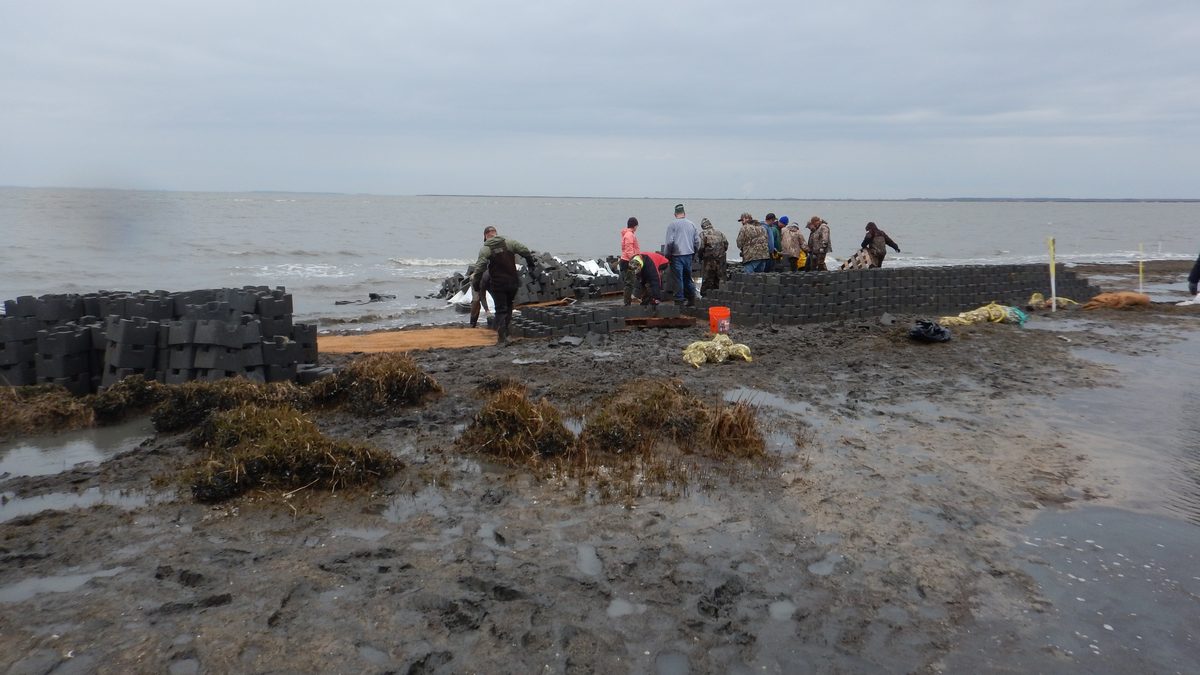 Voluntários de botas e roupas de camuflagem empilham blocos escuros de concreto na beira da água, montando uma estrutura de recife de ostras como quebra-mar, em dia nublado