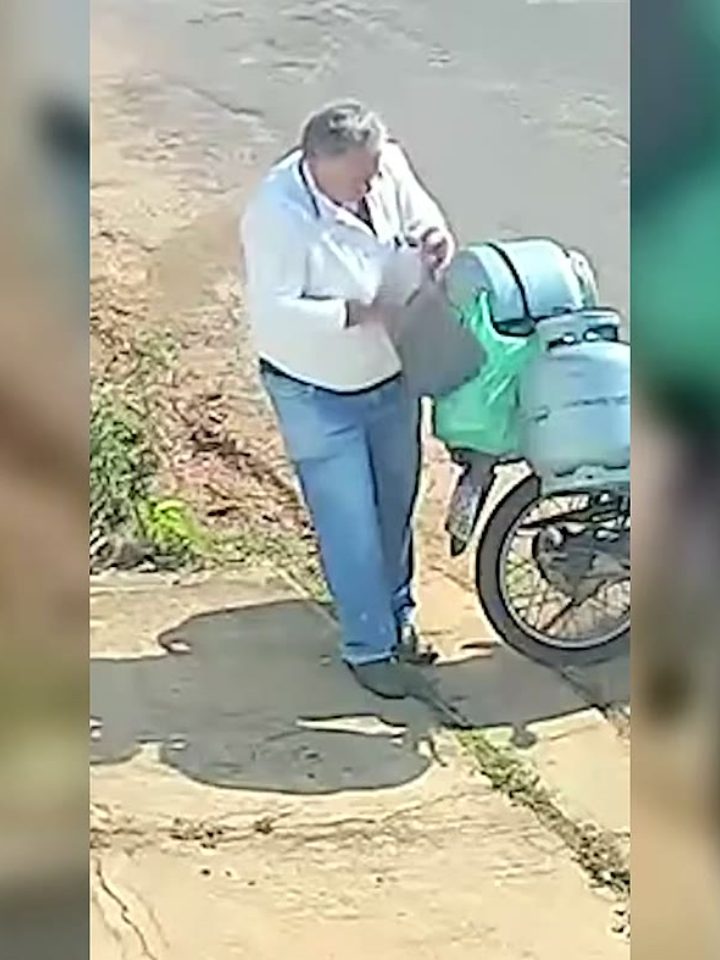 Cachorro furta bolsa de entregador de gás em vídeo