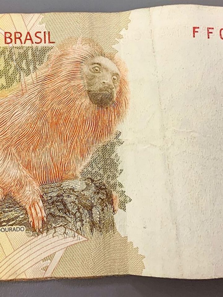 Décimo terceiro do INSS: veja o calendário completo