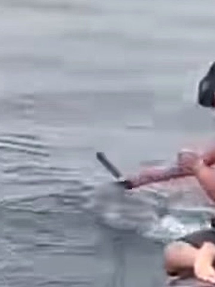 Pescador sobe em baleia presa em rede no Peru