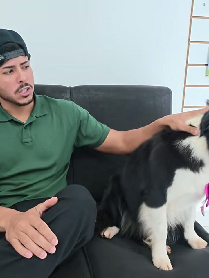 Renato Garcia leva cachorra Sky grávida ao veterinário