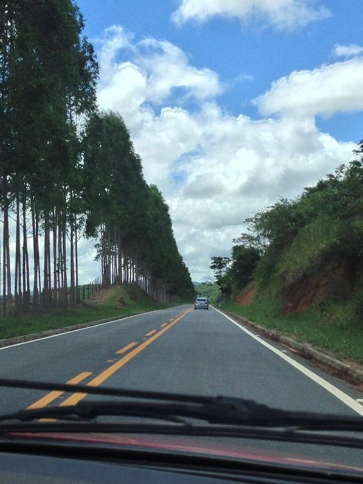 Renovação automática da CNH: quem tem direito em 2026