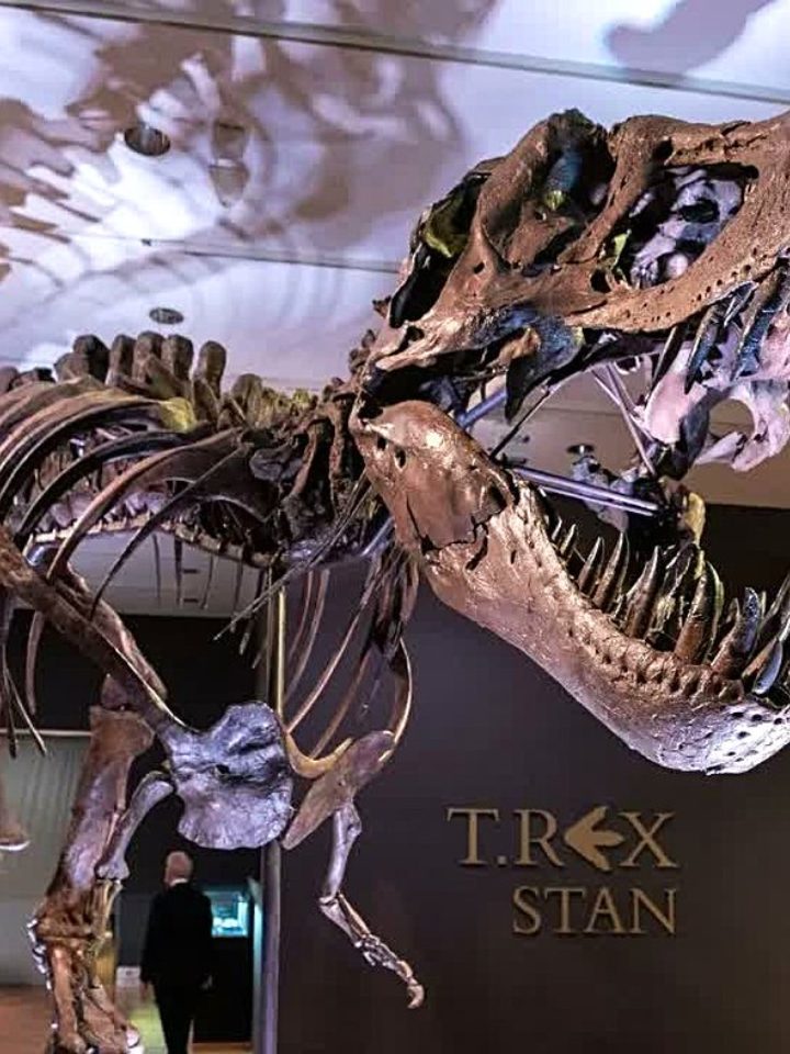 T. rex sangue quente: a temperatura do bicho